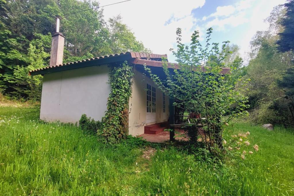 Gite Rustique - Perigord Vert - La Collina 24300 Abjat-sur-Bandiat ภายนอก รูปภาพ